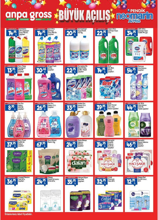 Anpa Gross – Seite 11