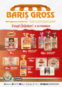 Barış Gross Broşür