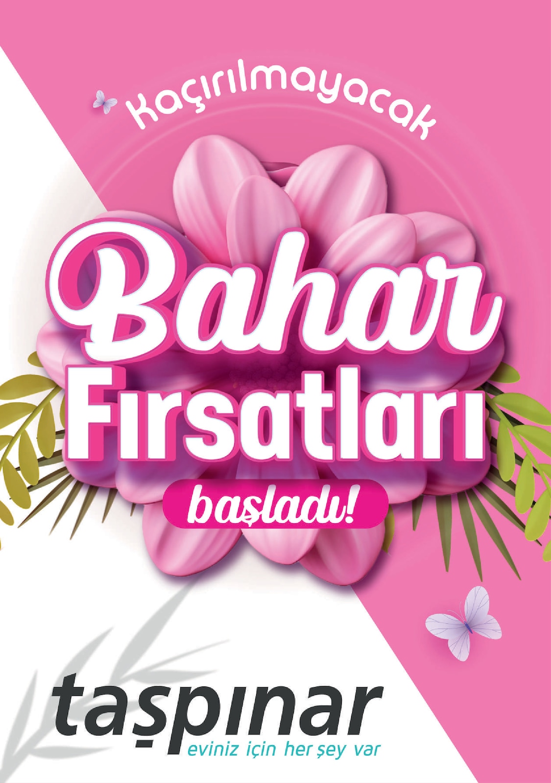 Taspinar – Seite 1