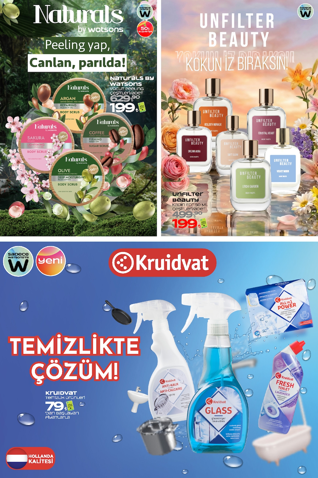 Watsons – Seite 41